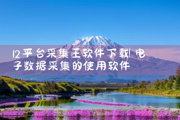 12平台采集王软件下载