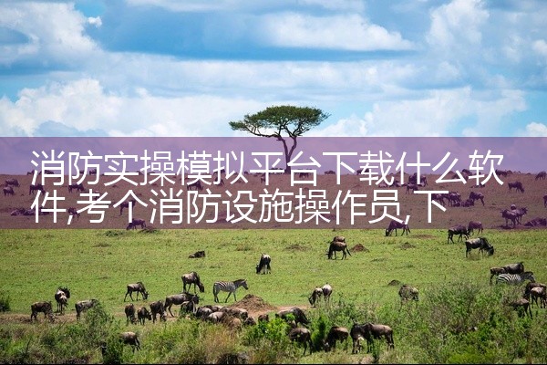 消防实操模拟平台下载什么软件