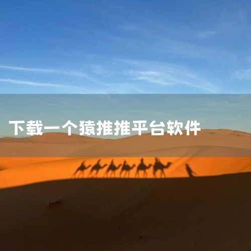 猿推推是一款专门服务于抖音带货的管理工具。这款应用旨在帮助用户更好地管理和分析抖音生态内的数据。在去年，抖音推出了一款名为考古加的全场景数据分析平台，这也进一步证明了抖音对于数据分析的重视。使用猿推推,