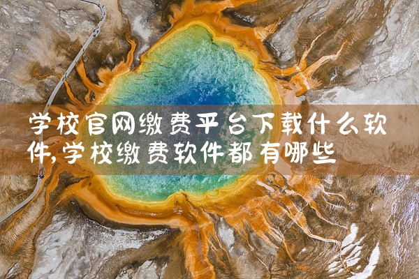 学校官网缴费平台下载什么软件