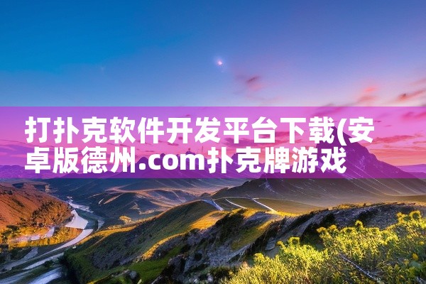 打扑克软件开发平台下载