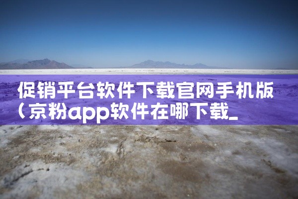 促销平台软件下载官网手机版